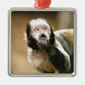 Cheeky & attent baby capuchin-aap metalen ornament (Voorkant)