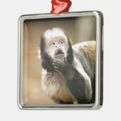 Cheeky & attent baby capuchin-aap metalen ornament (Links)