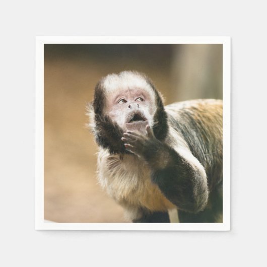 Cheeky & attent baby capuchin-aap servet (Voorkant)