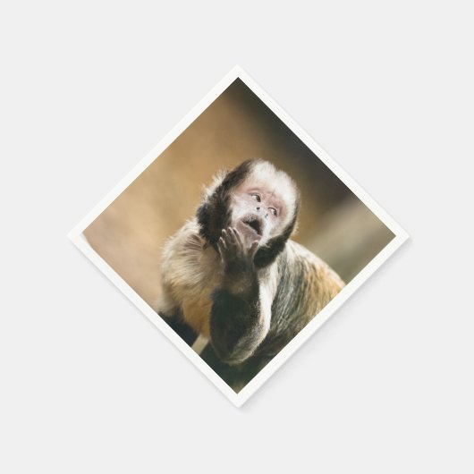 Cheeky & attent baby capuchin-aap servet (Hoek)