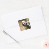 Cheeky & attent baby capuchin-aap vierkante sticker (Envelop)