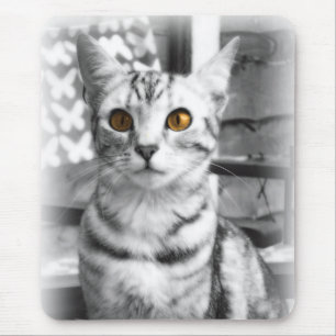 Cheeky Cat Muismat