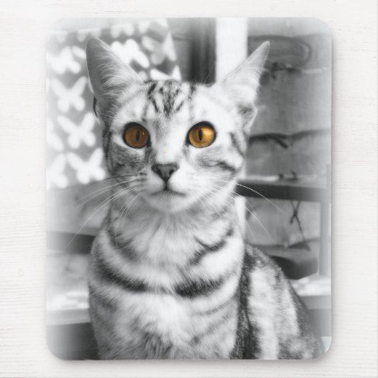 Cheeky Cat Muismat (Voorkant)