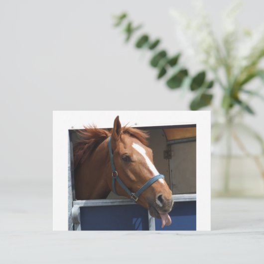 Cheeky Chestnut Briefkaart (Staand voorkant)