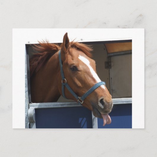 Cheeky Chestnut Briefkaart (Voorkant)