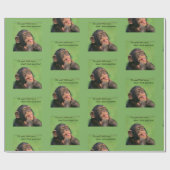 Cheeky Chimp Cadeaupapier (Vlak)
