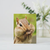 Cheeky Chipmunk Briefkaart (Staand voorkant)