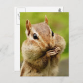 Cheeky Chipmunk Briefkaart (Voorkant / Achterkant)