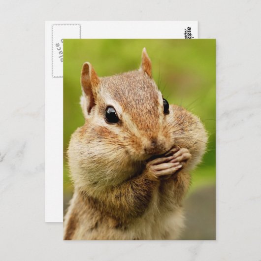 Cheeky Chipmunk Briefkaart (Voorkant / Achterkant)