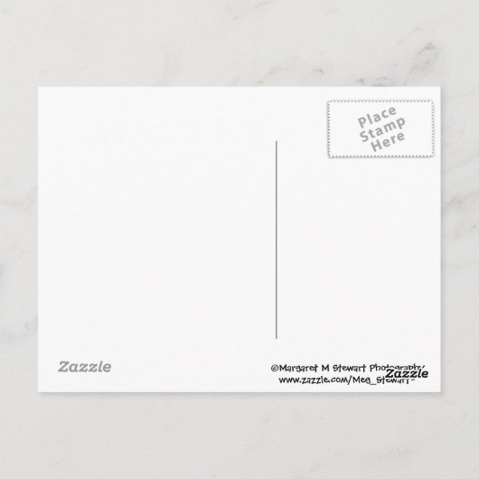 Cheeky Chipmunk Briefkaart (Achterkant)