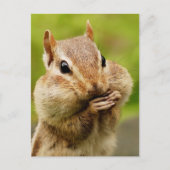 Cheeky Chipmunk Briefkaart (Voorkant)