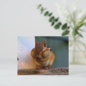 Cheeky Chipmunk Briefkaart (Staand voorkant)