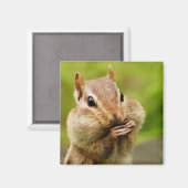 Cheeky Chipmunk Magnet (Voorkant / Achterkant)