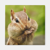 Cheeky Chipmunk Magnet (Voorkant)