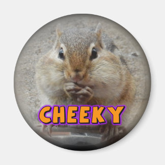 Cheeky Chipmunk Magnet
