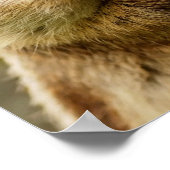 Cheeky Chipmunk Poster (Hoek)