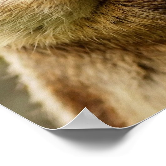 Cheeky Chipmunk Poster (Hoek)