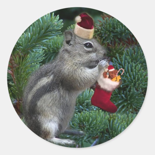 Cheeky Christmas Chipmunk Ronde Sticker (Voorkant)