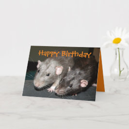 Cheeky Dumbo ratten verjaardagskaart Kaart