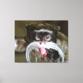 Cheeky Emperor Tamarin Monkey Canvas Afdruk (Voorkant)