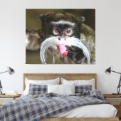 Cheeky Emperor Tamarin Monkey Canvas Afdruk (Insitu (Slaapkamer))