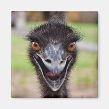 Cheeky Emu koelkastmagneet
