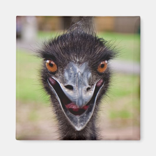 Cheeky Emu koelkastmagneet Magneet (Voorkant)
