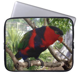 Cheeky Face Rainbow Lorikeet, Laptop Sleeve