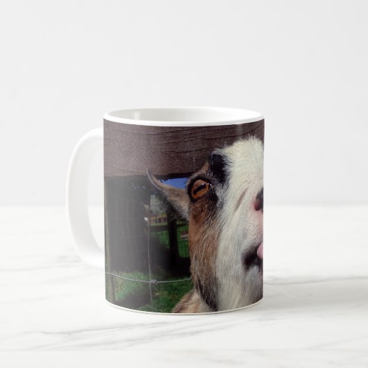 Cheeky Goat Mok (Voorkant links)