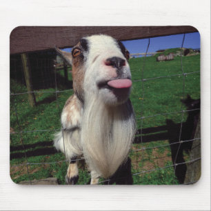 Cheeky Goat Mouse Mat Muismat