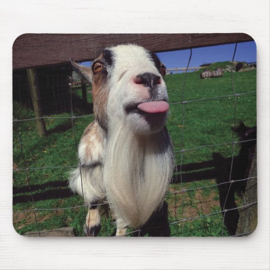 Cheeky Goat Mouse Mat Muismat (Voorkant)