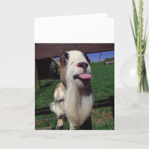 Cheeky Goat Wenskaart Kaart