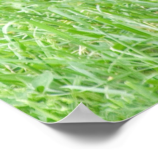 Cheeky Gorilla Lope Poster (Hoek)