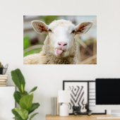 Cheeky grappige schaap die tong uitsteekt poster (Thuiskantoor)