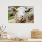 Cheeky grappige schaap die tong uitsteekt poster (Keuken)