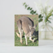 Cheeky Kangaroo - Postcard Briefkaart (Staand voorkant)
