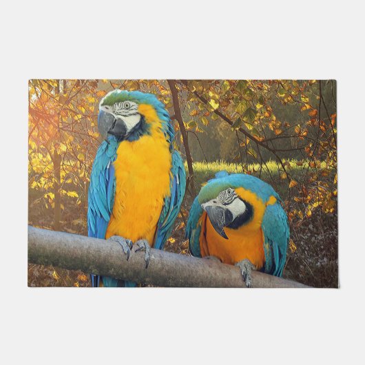 Cheeky macaws deurmat (Voorkant)