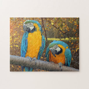 Cheeky macaws - schattige papegaai legpuzzel