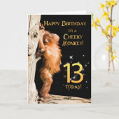 Cheeky monkey age 13 kaart (Gele Bloem)