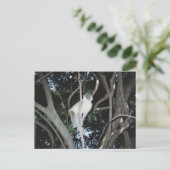 Cheeky Monkey Briefkaart (Staand voorkant)