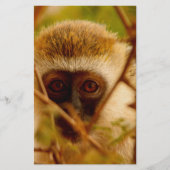 Cheeky Monkey. Briefpapier (Voorkant)