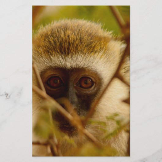 Cheeky Monkey. Briefpapier (Voorkant)