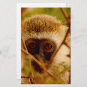 Cheeky Monkey. Briefpapier (Voorkant / Achterkant)