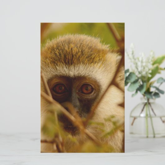 Cheeky Monkey. Briefpapier (Staand voorkant)