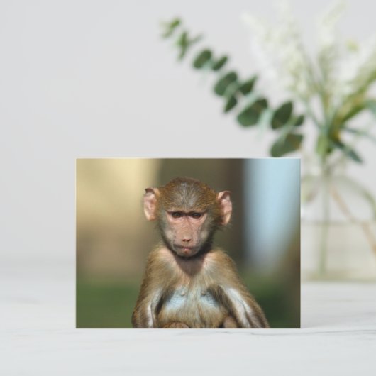 Cheeky Monkey - Cute Baby Baboon Briefkaarten (Staand voorkant)