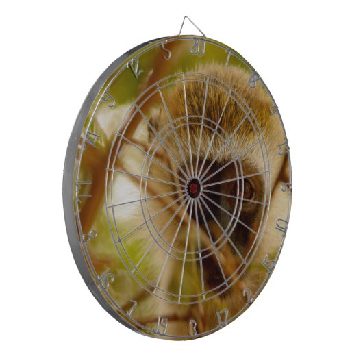 Cheeky Monkey. Dartbord (Voorkant Links)