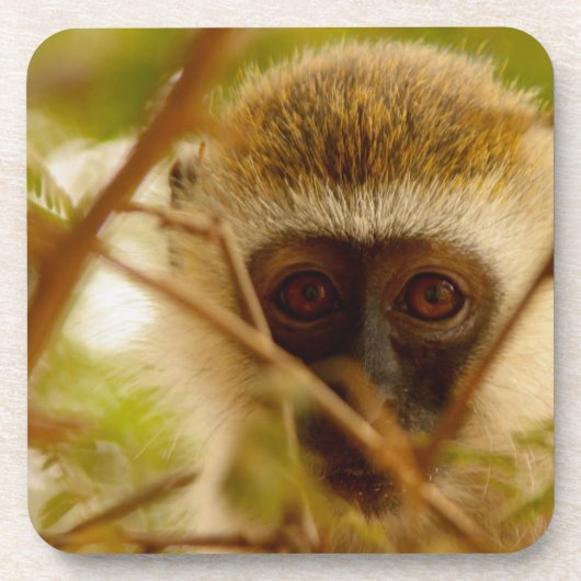 Cheeky Monkey. Drankjes Onderzetter (Voorkant)