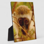 Cheeky Monkey. Fotoplaat (Zijkant)