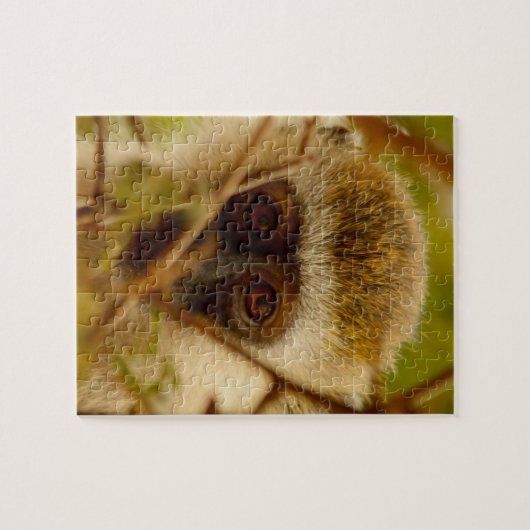 Cheeky Monkey. Legpuzzel (Horizontaal)