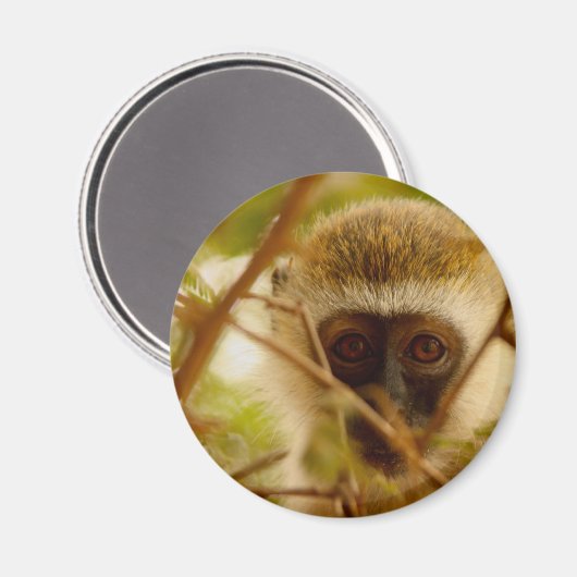 Cheeky Monkey. Magneet (Voorkant / Achterkant)